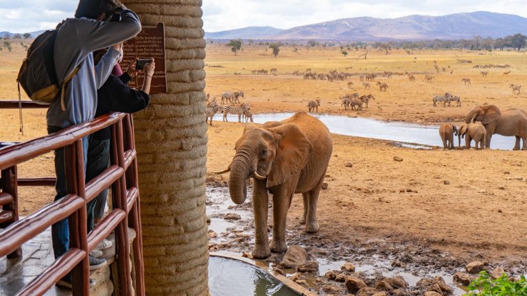 3 Giorni Tsavo est e Taita Hills