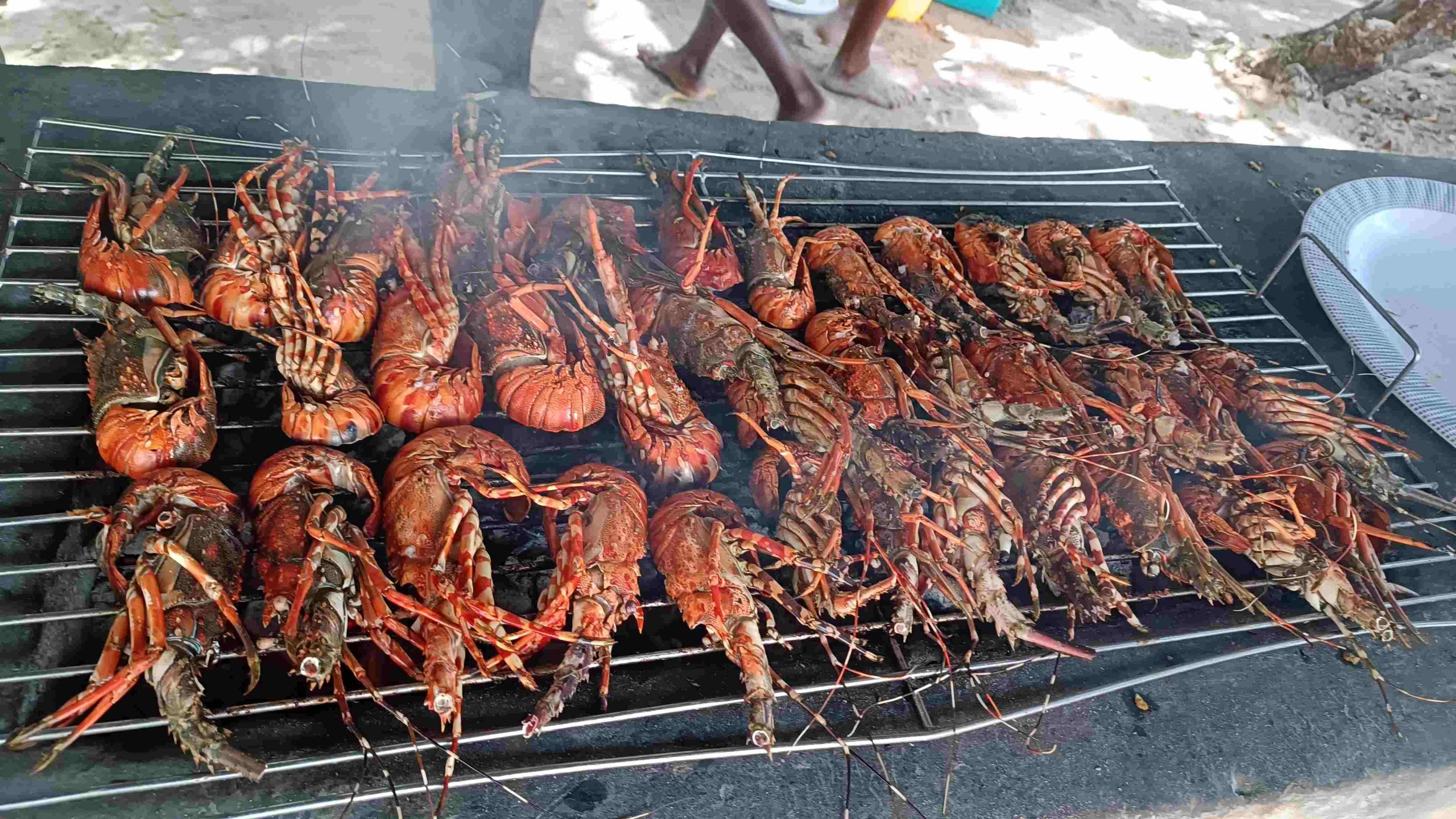 Safari Blue Sardinia 2