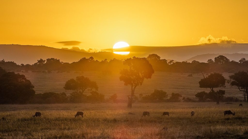 Escursioni Safari Tour Kenya