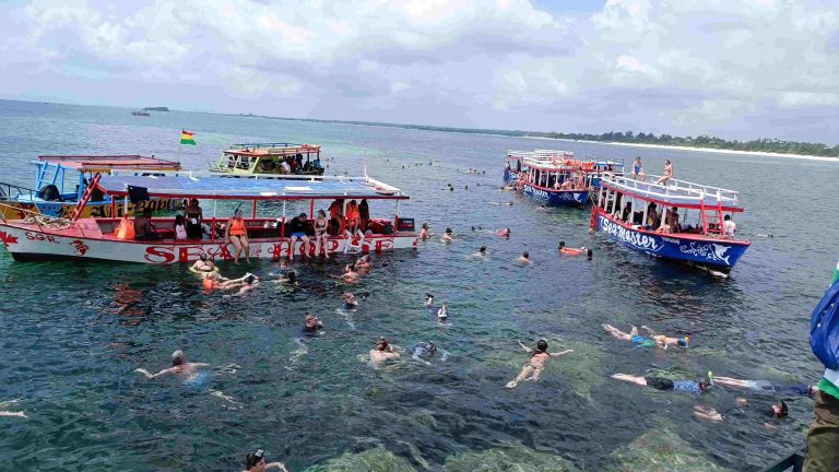 Safari Blu Mida Creek Mangroven